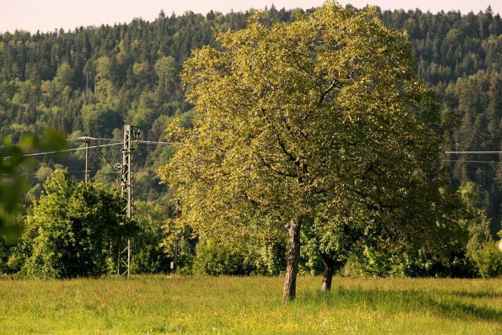 Hotel Rainhof Scheune & Naturpark Restaurant Кирхцартен Экстерьер фото